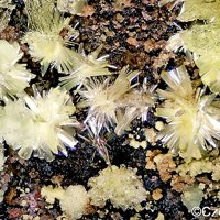 Rabbittite, Liebigite, Schröckingerite