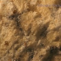 Rankinite