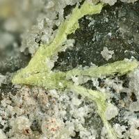 Bayleyite