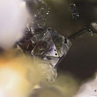 Faujasite-Ca