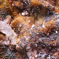 Caracolite