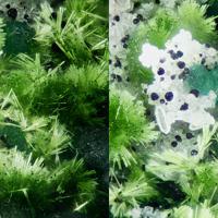 Agardite-(Ce), Cornwallite, Quartz
