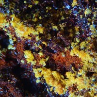 Jarosite, Limonite