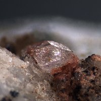 Dalyite