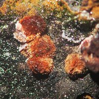 Jamesite, Tsumcorite, Duftite