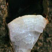 Garronite-Ca, Phillipsite Subgroup