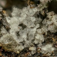 Lahnsteinite
