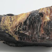 Carnotite, Petrified Wood