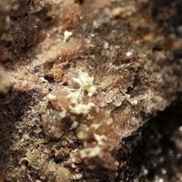 Rabbittite