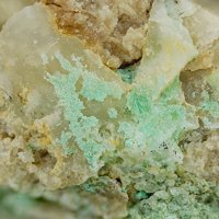 Rajite