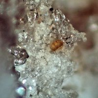 Gasparite-(Ce), Quartz, Opal-AN