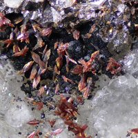 Carminite