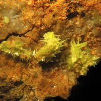Sabugalite