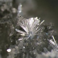 Raydemarkite
