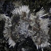 Calciodelrioite