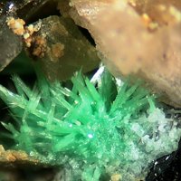 Ulrichite