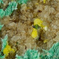 Tangeite, Tyuyamunite, Malachite