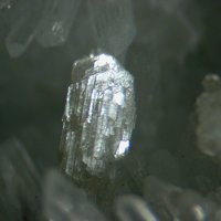 Tainiolite