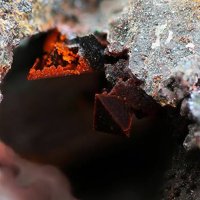 Nantokite