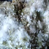 Tamarugite, Halotrichite