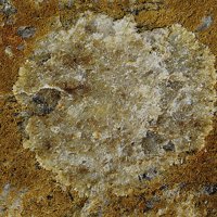 Uralolite