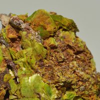 Uranocircite