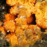 Uranosphaerite