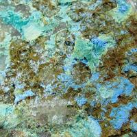 Carbonatecyanotrichite, Parnauite, Mansfieldite