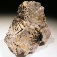 Umbozerite, Ussingite