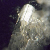 Sacrofanite