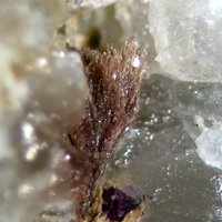 Cascandite