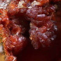 Cassedanneite