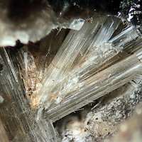 Kaliophilite