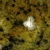 Lanthanite-(Ce)
