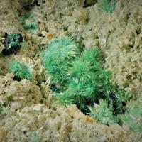 Agardite-(Y)
