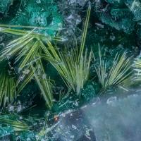 Agardite-(Ce), Cornwallite