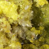 Carnotite, Bayleyite, Chalcopyrite