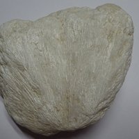 Ulexite