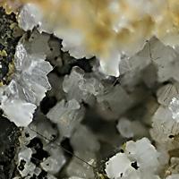 Afmite, Matulaite