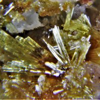 Jahnsite-(NaMnMg)