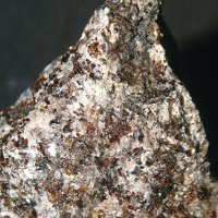 Ganomalite, Phlogopite