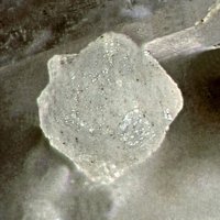 Garronite-Na