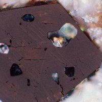 Macedonite