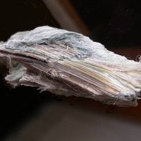 Carlosturanite, Chrysotile