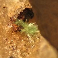 Agardite-(Y)