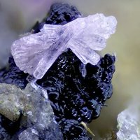 Talmessite, Heterogenite
