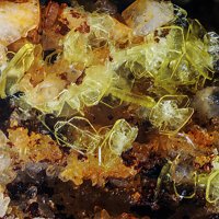 Uranospinite, Autunite, Quartz