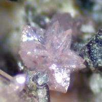 Calcioancylite-(Nd), Epidote