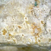 Caysichite-(Y), Yttrofluorite