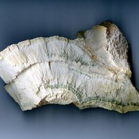 Dalnegorskite, Hedenbergite
